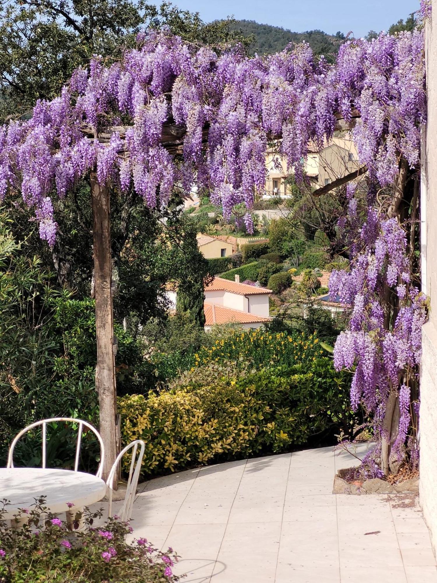 Appartements Dans Villa En Rez De Jardin Hyeres Bagian luar foto