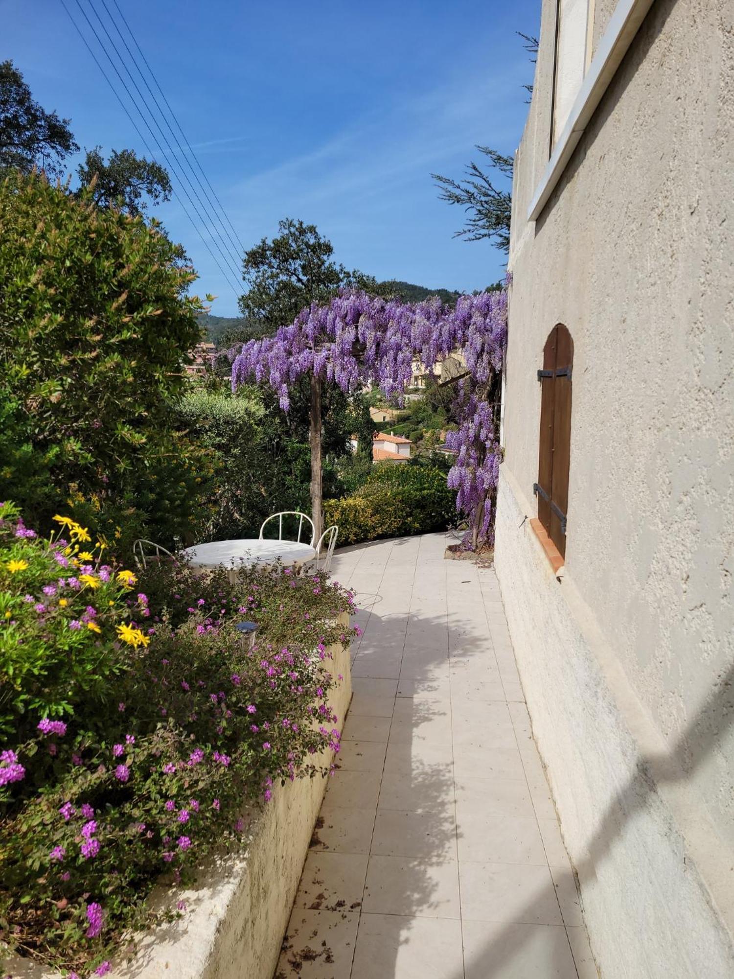 Appartements Dans Villa En Rez De Jardin Hyeres Bagian luar foto