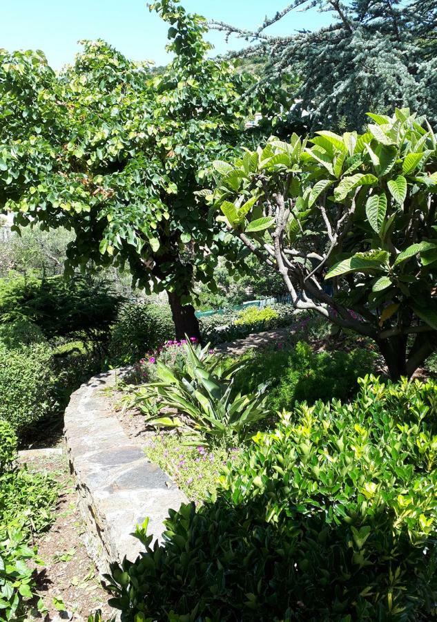 Appartements Dans Villa En Rez De Jardin Hyeres Bagian luar foto